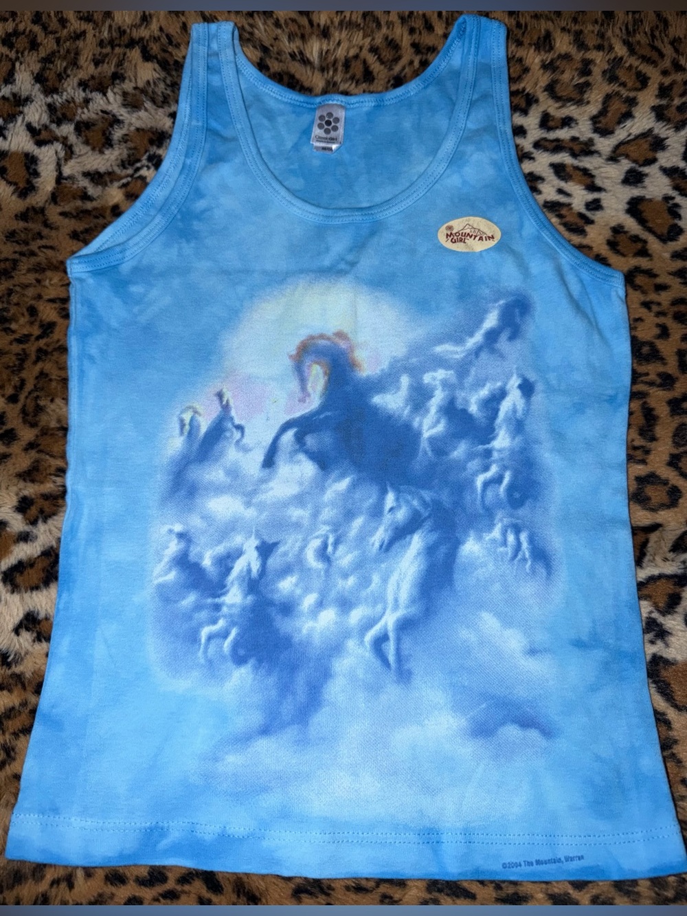 Vintage American Apparel ClassicGirl X The Mountain Size Medium